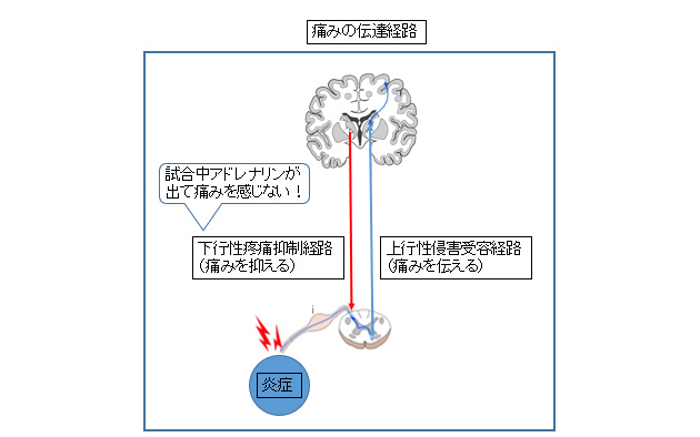 �ɂ݂̓`�B�o�H