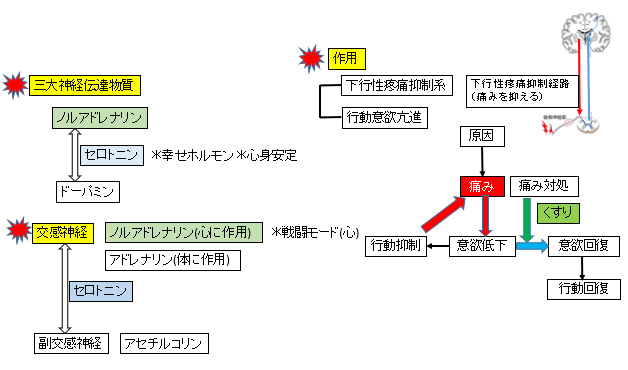 �����ɂɑ΂����