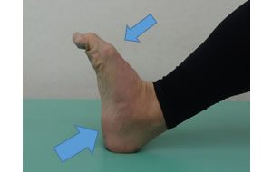 ���̗��ŕ����P