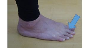 ���̗��ŕ����Q