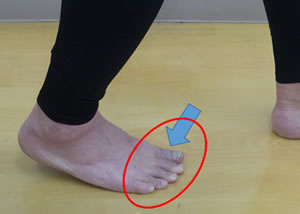 ���̗��ŕ����R