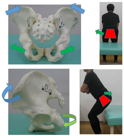 �����̓���