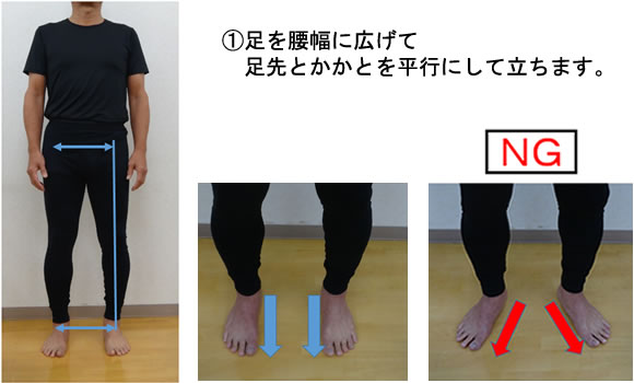 ���������ɍL���đ���Ƃ����Ƃ𕽍s�ɂ��ė����܂��B