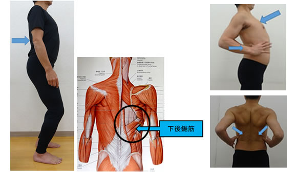 �g���V�]���񂹂�h�悤�ɉ��㋘�؂����k�����āA�w�؂�L�΂��ĉ������B