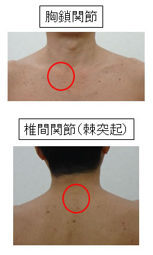 �����֐߁E�ŊԊ֐߁i���ˋN�j