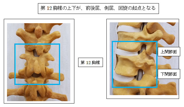 ��12����