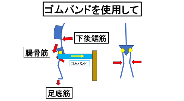 �S���o���h���g�p����