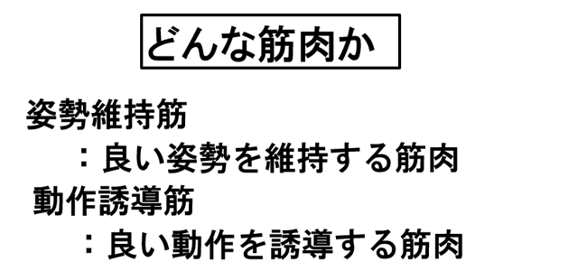 �ǂ�ȋؓ���