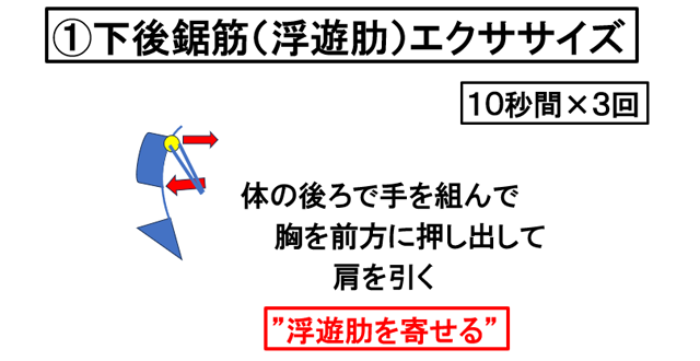 ���㋘��(���V�])�G�N�T�T�C�Y