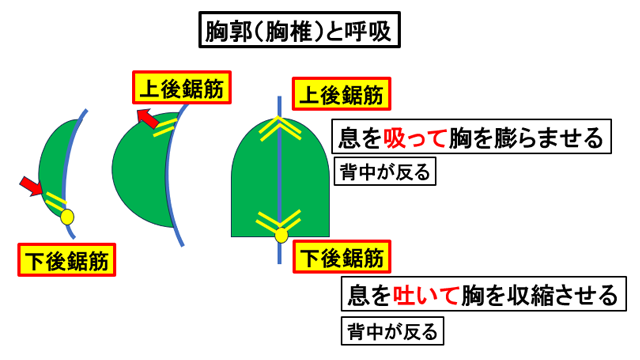 ���s(����)�ƌċz