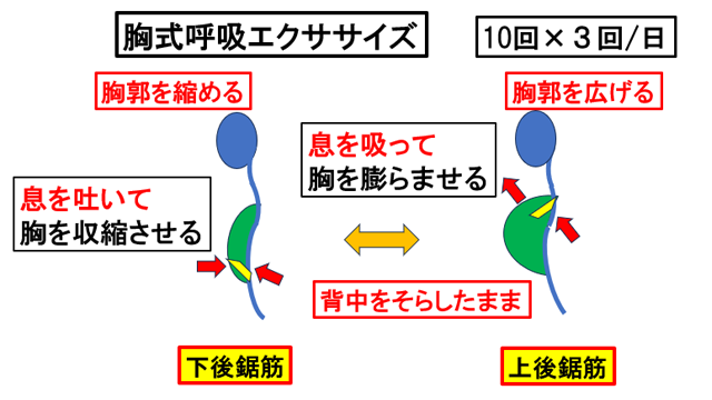 �����ċz�G�N�T�T�C�Y