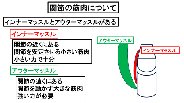 �֐߂̋ؓ��ɂ���