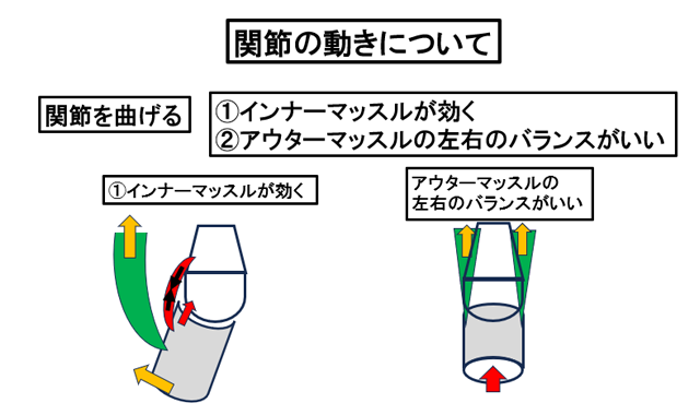 �֐߂̓����ɂ���